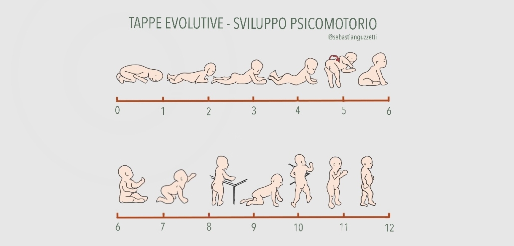 Sviluppo neonato