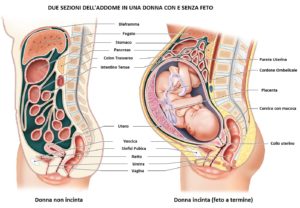 dolori in gravidanza