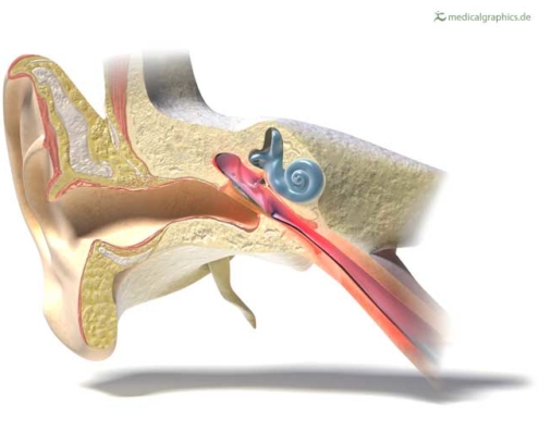 otite osteopatia