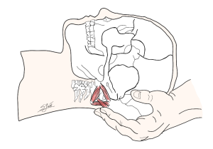 Nevralgia di Arnold e osteopatia